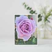 Rosa Climbing Blue Moon Postkarte (Stehend Vorderseite)