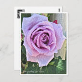 Rosa Climbing Blue Moon Postkarte (Vorne/Hinten)