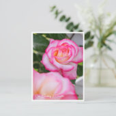 Rosa Climbing Minuette Postkarte (Stehend Vorderseite)