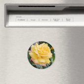 Rosa Climbing Peace Magnet (In Situ (Geschirrspüler))
