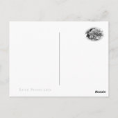 Rosa Climbing Peace Postkarte (Rückseite)