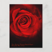 Rosa Climbing Präsident Léopold Senghor Postkarte (Vorderseite)