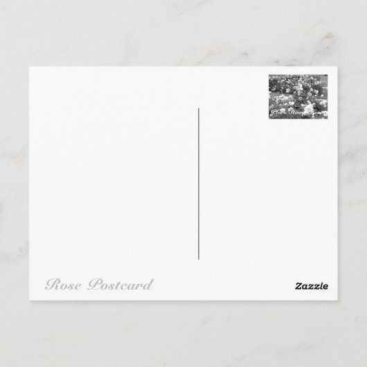 Rosa Clotilde Soupert Postkarte (Rückseite)