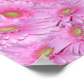 Rosa Cluster der Blume Gerbera, Poster (Ecke)