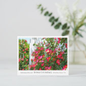 Rosa Cocktail Postkarte (Stehend Vorderseite)