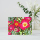 Rosa Cocktail Postkarte (Stehend Vorderseite)