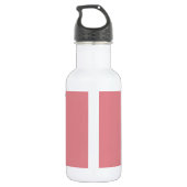 Rosa Comic Style Vintage Valentintagroboter Trinkflasche (Rückseite)