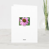 Rosa Coneflower Geburtstag Karte (Rückseite)