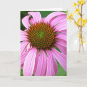 Rosa Coneflower Geburtstag Karte (Gelbe Blume)