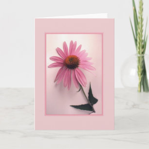 Rosa Coneflower Gruß-Karte Karte