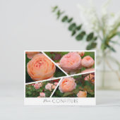 Rosa Confiture Postkarte (Stehend Vorderseite)