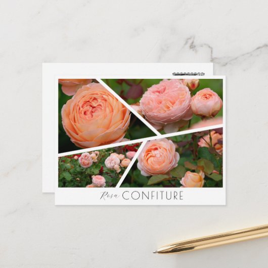 Rosa Confiture Postkarte (Vorderseite/Rückseite Beispiel)