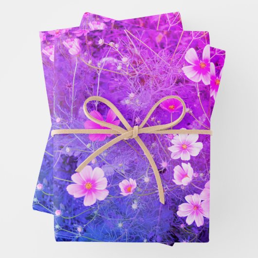 Rosa Cosmos bipinnatus Blume im Vollblut Geschenkpapier Set (Beispiel)