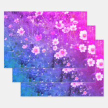 Rosa Cosmos bipinnatus Blume im Vollblut