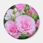 Rosa Cotillion Magnet (Vorne)