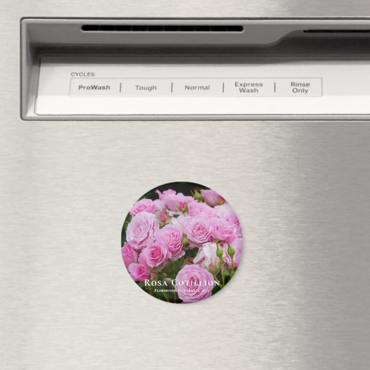 Rosa Cotillion Magnet (In Situ (Geschirrspüler))