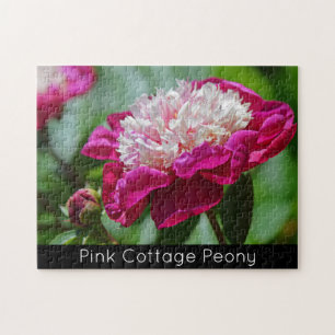 Rosa Cottage Pfingstrosen Garten Blumen Puzzle
