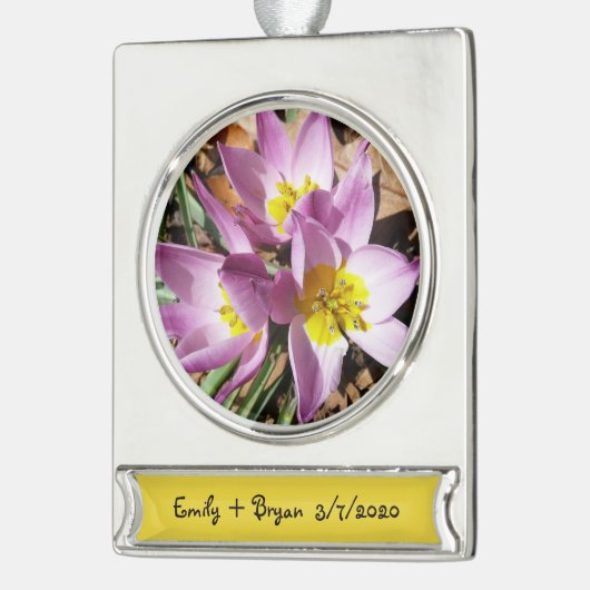 Rosa Crocses Frühlingsblume Banner-Ornament Silber (Links)