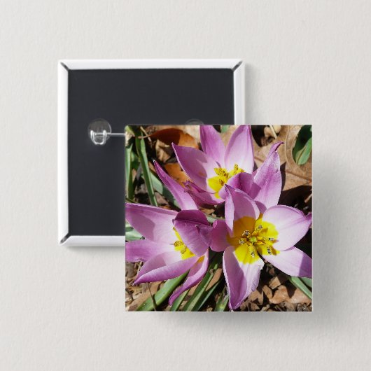 Rosa Crocses Frühlingsblume Button (Vorne & Hinten)