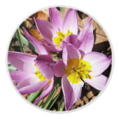 Rosa Crocses Frühlingsblume Keramikknauf (Vorderseite)