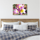Rosa Crocses Frühlingsblume Leinwanddruck (Insitu (Schlafzimmer))