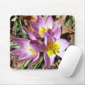Rosa Crocses Frühlingsblume Mousepad (Mit Mouse)