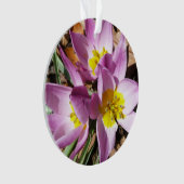 Rosa Crocses Frühlingsblume Ornament (Vorderseite)