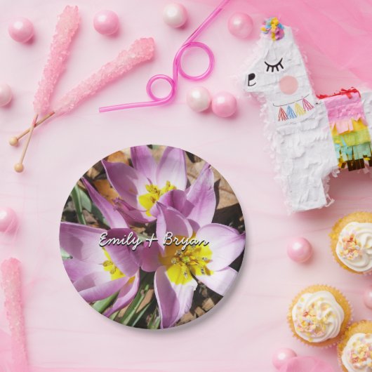 Rosa Crocses Frühlingsblume Pappteller (Party)