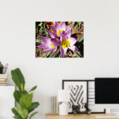 Rosa Crocses Frühlingsblume Poster (Heimbüro)