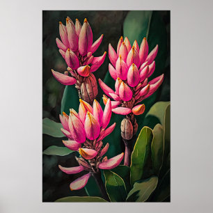 Rosa Curcuma Blume Art Print Poster