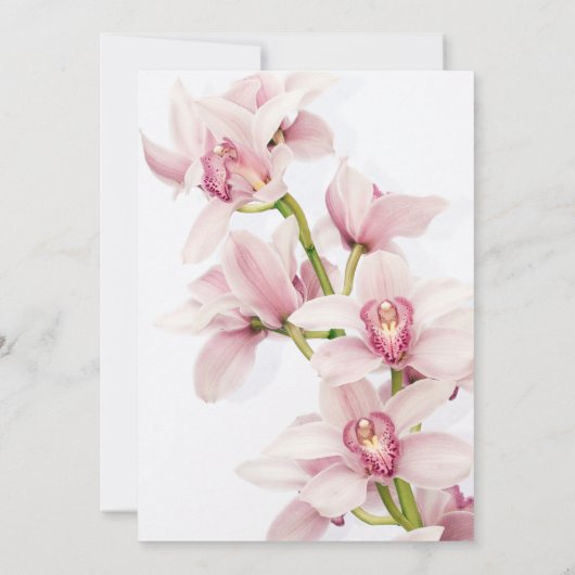 Rosa Cymbidium Orchid Erste kommunale Einladung (Rückseite)