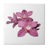 Rosa Cymbidium-Orchideen-Fliese Fliese (Vorderseite)