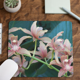 Rosa Cymbidium Orchius florale Mousepad