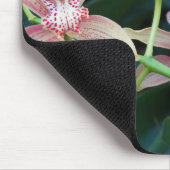 Rosa Cymbidium Orchius florale Mousepad (Ecke)