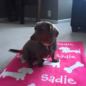 Rosa Dackel Dackel Dog Blanket Name anpassen Fleecedecke