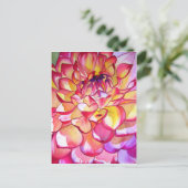 Rosa Dahlia Blume Aquarell Kunst Postkarte (Stehend Vorderseite)