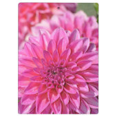 Rosa Dahlia-Blume Klemmbrett (Rückseite)