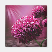 Rosa Dahlia Blume Wasser tropft Sonnenlicht Magnet (Vorne)