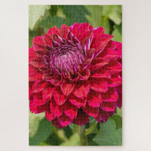 Rosa Dahlia Freude: Schöne Blumenfotografie Puzzle
