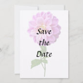 Rosa Dahlia mit Taube Save The Date (Rückseite)