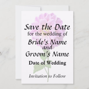 Rosa Dahlia mit Taube Save The Date