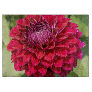 Rosa Dahlia, schöne Blumenfotografie Schneidebrett