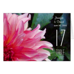 Rosa Dahlia-Tischnummer