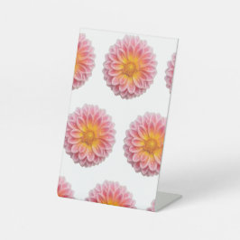 Rosa Dahlia- und Taubentropfen Sockelschild