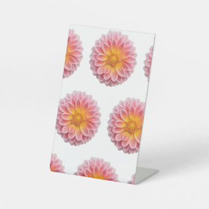 Rosa Dahlia- und Taubentropfen Sockelschild