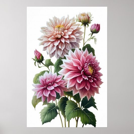 Rosa Dahlias Blume Art Print Poster (Vorne)