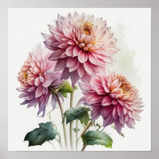 Rosa Dahlias Blume Art Print Poster (Vorne)