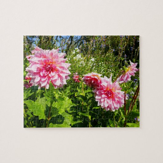 Rosa Dahlias (Otto's Thrill) Puzzle (Horizontal)