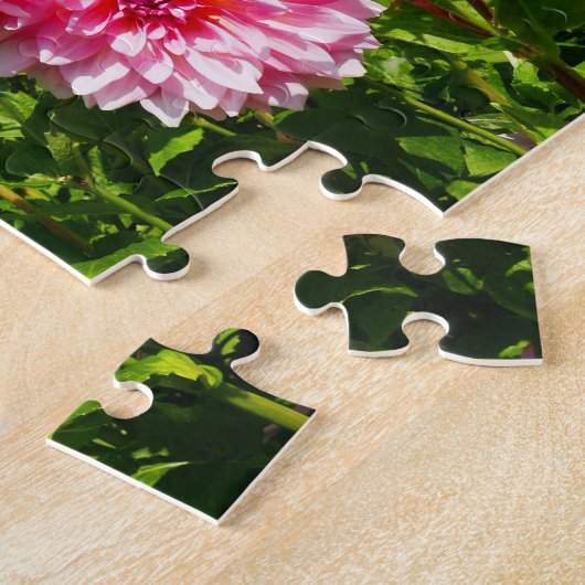 Rosa Dahlias (Otto's Thrill) Puzzle (Seite)