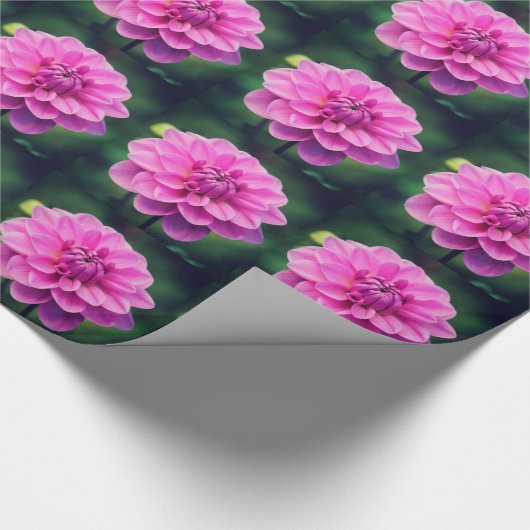 Rosa Dahlie Geschenkpapier (Ecke)
